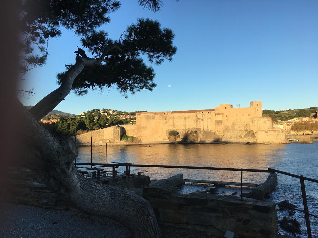 Un Balcon Sur La Mer Port Vendres Exterior foto